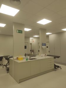 IMG 20241011 133552 2200x1650