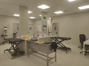 IMG 20241011 133626 2200x1650