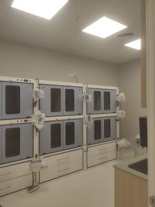 IMG 20241011 133641 2200x1650