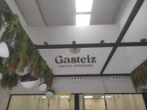 IMG 20241011 133850 2200x1650