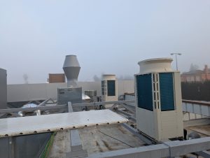 PXL 20241220 083415523